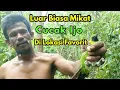 Download Lagu Petualang Memikat Cucak Ijo Di Lokasi Paling Favorit Tidak Mengkhianati Hasil, luar biasa...
