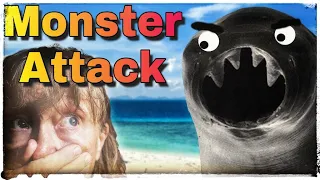 Hookworm invasion! Medical care on a sailboat – Sailing Ep 178