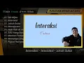 Tulus -TEH HIJAU - INTERAKSI - JATUH SUKA - MONOKROM - HATI HATI DIJALAN | LAGU POP POPULER
