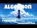 Download Lagu Algernon | Yorushika [Lyrics-Jpn | Rom | Mm]