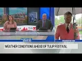 Weather conditions ahead of Tulip Festival in Albany