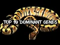 The 10 Most Popular Dominant Ball Python Genes