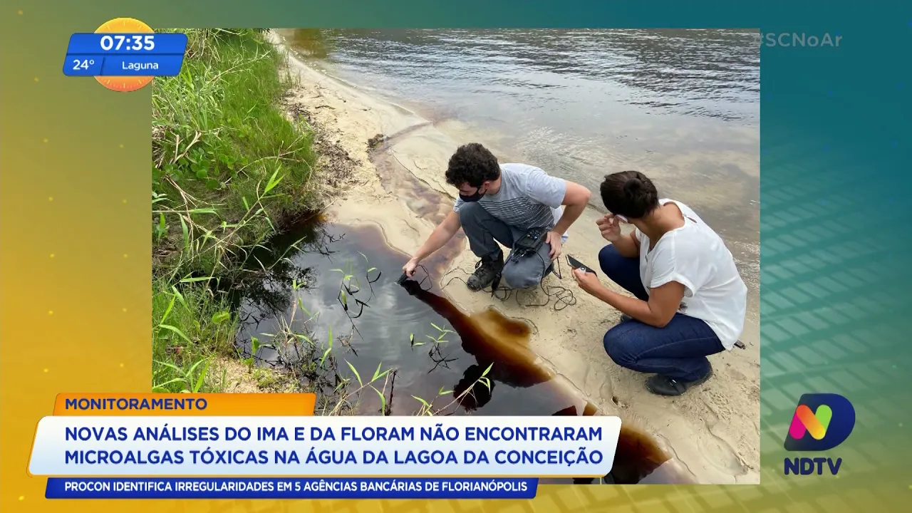 Novas análises não identificam microalgas tóxicas na Lagoa da Conceição