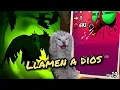Download Lagu I WAS ATTACKED BY A FLY AT 19 AND A RAVEN (LET'S GO FOR THE TOP 1) | PHOBIES