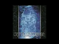 Cryptic Wintermoon | A Coming Storm