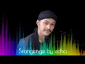 Download Lagu Srangenge voc. echa emka9