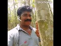Download Lagu Va Vennila..unnai Thane vanam thedudhu .