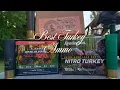 Best Turkey Ammo FOX TROT TSS vs LONG BEARD XR and NITRO TURKEY