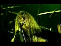 Obituary - Slowly We Rot