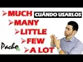 How to use MUCH MANY A LOT A LITTLE and A FEW in English easily Quantifiers explained