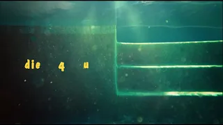 hayley kiyoko - die 4 u (feat. young miko) [official lyric video]