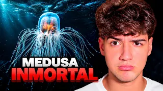 ¿Que Ser Vivo Dura Más Tiempo Vivo?