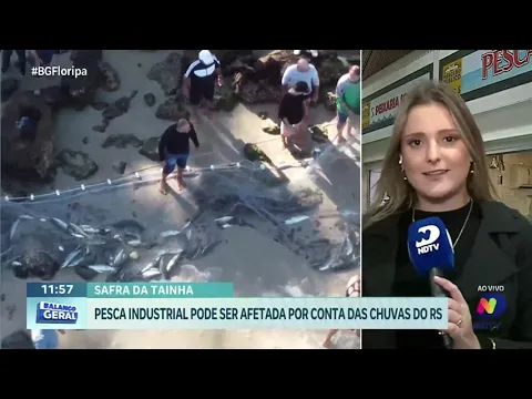 Impacto das chuvas no Rio Grande do Sul pode impactar na pesca da Tainha em Santa Catarina