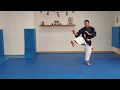 Download Lagu Kihon waza - Serie 3 · Tai sabaki + Atemi | Nihon Tai jitsu