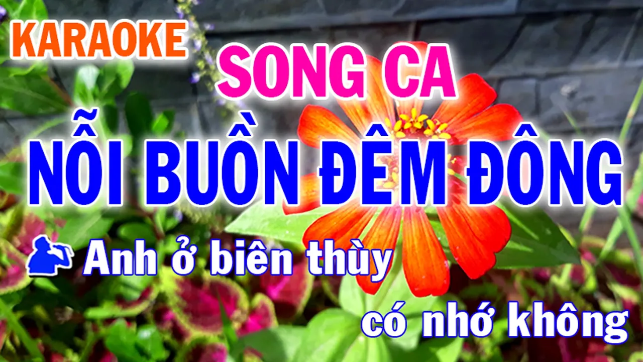 139-  Nỗi Buồn Đêm Đông♥️TP mời sc nhé♥️