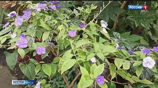 В Омский ботанический сад пришла весна