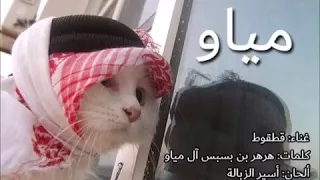 قط يغني موال 
