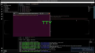 How to execute command in other people terminal session using TTY