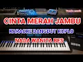 Download Lagu CINTA MERAH JAMBU KARAOKE TANPA VOCAL NADA WANITA (AJENG FEBRIA)
