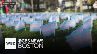 More than 400 transgender pride flags pulled from Boston Common memorial