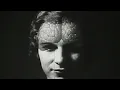 A Thousand Mad Things - Wide Awake (Official Visualizer)