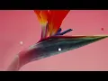 Making Material You Personal