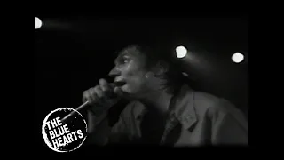 【公式】ザ・ブルーハーツ「情熱の薔薇」【6thシングル(1990/7/25)】THE BLUE HEARTS / Jyounetsu No Bara