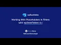 Working with placeholders in filters in wpDataTables