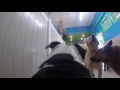 GoPro Day at Hounds Town Ronkonkoma