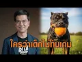 Download Lagu 'ศิธา' แซะเพื่อไทย ใครว่าเด็กไม่ทันเกม - 'จักรภพ' โพสต์รูปหมาคาบส้ม เผย 5 ข้อ