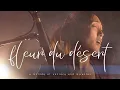 Download Lagu Fleur du Désert - Ancient Lyre, Handpan, Duduk, Double Bass