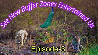 see how buffer zones entertained us episode 3