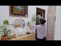 What I love about my charming 500 sq ft San Francisco apartment