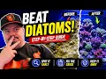 How to tackle Diatoms in Your Reef Tank