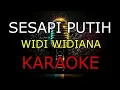 Download Lagu SESAPI PUTIH _WIDI WIDIANA _KARAOKE🎤