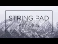 STRING PAD KEY OF G Em for Backing Track