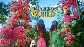 minjin sugarboy remix ft korede bello u0026 dj big n official video 