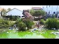 Download Lagu Awesome Bulldozer and Trucks Start to Work so Amazing To Pushing soil to flood pond! Mix VDO