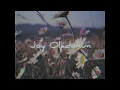 Joy Oladokun - Wild Enough (Official Lyric Video)
