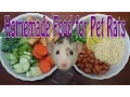 Pet Rat Diet - Requested