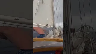 How to Shower 🚿 at Sea