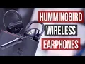 Lagu Bliiq Hummingbird Review Sport Wireless Earphones