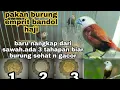 Download Lagu masih jarang yg tau biar emprit haji baru nangkap tidak mati