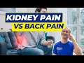 How To Differentiate Kidney Pain and Back Pain KNOW IT IN LESS THAN A MINUTE