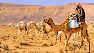 شيلة خزامة خالد آل بريك 