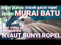 Download Lagu ingin punya trucuk bersuara murai batu?putar aja video pancingan trucukan gacor agar bunyi ropel ini