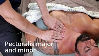 how to massage pectoralis major and minor the pecs 