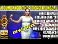 ALBUM DANGDUT KOPLO ORGEN TUNGGAL || cover erna vavel ||@vavelchanel
