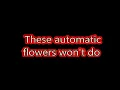 Our Lady Peace - Automatic Flowers Lyrics On Screen!