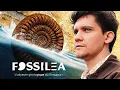 Download Lagu EXPEDITION #5: Les Pierres Folles de Fossilea @Fossilea